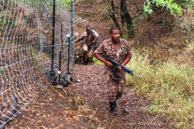 Rapid response call out after poachers hunting with dogs, Somkkhanda Private, Game Reserve, Zululand, KwaZulu Natal, South Africa