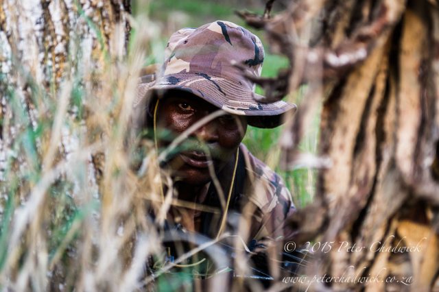 Anti-poaching unit on patrol, Somkhanda Private Game Reserve, KwaZulu Natal, South Africa